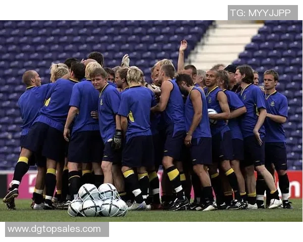 2019年瑞典与丹麦足球比赛比分预测及分析展望 2019年瑞典与丹麦足球比赛比分预测及分析展望