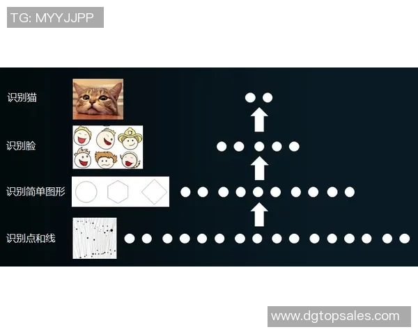 斯通斯的传奇之旅:探索摇滚乐历史中的不朽符号与文化影响 斯通斯的传奇之旅:探索摇滚乐历史中的不朽符号与文化影响