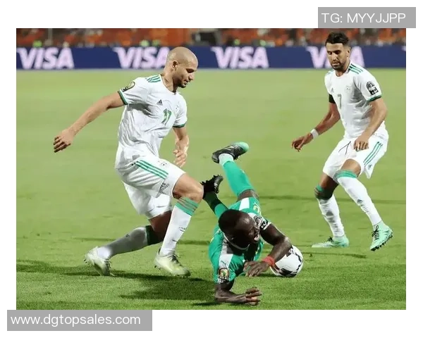 阿尔及利亚与尼日利亚激战正酣精彩直播尽在眼前