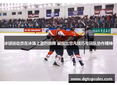 冰球运动员在冰场上激烈拼搏 展现出非凡技巧与团队协作精神