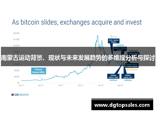 南蒙古运动背景、现状与未来发展趋势的多维度分析与探讨