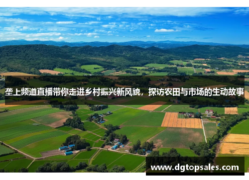 垄上频道直播带你走进乡村振兴新风貌，探访农田与市场的生动故事