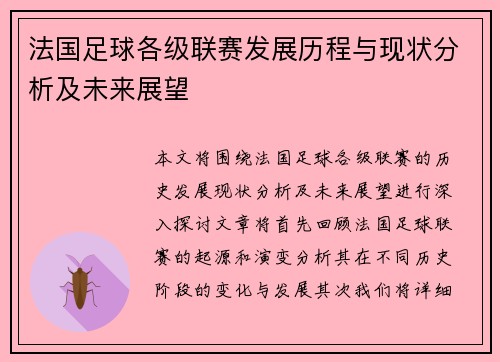 法国足球各级联赛发展历程与现状分析及未来展望